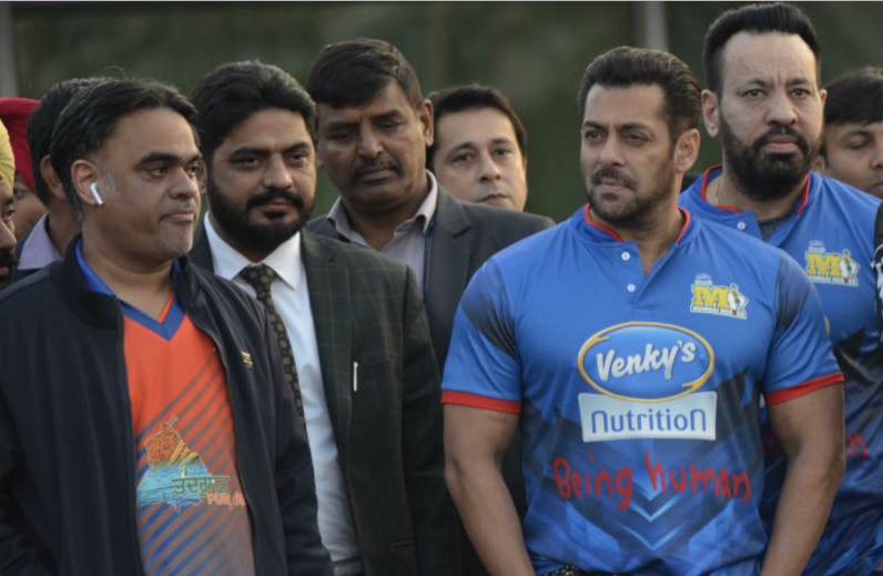 Celebrity Cricket League 