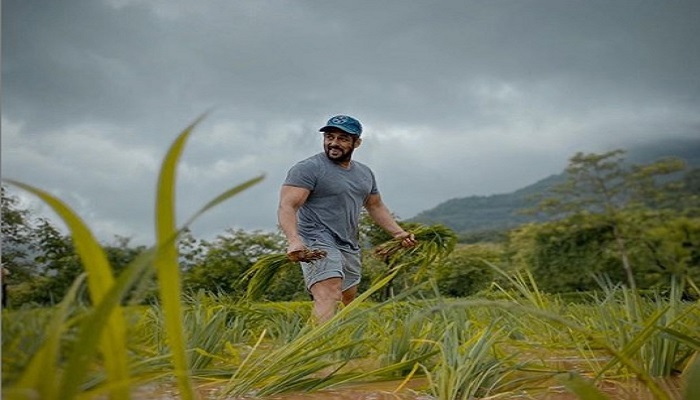 salman khan 700X400