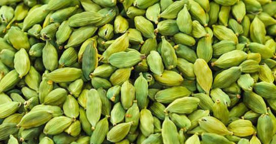 cardamom benefits