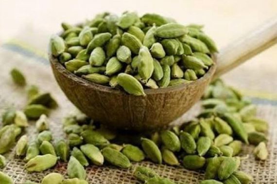 cardamom pic