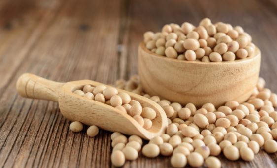 soybeans benefits