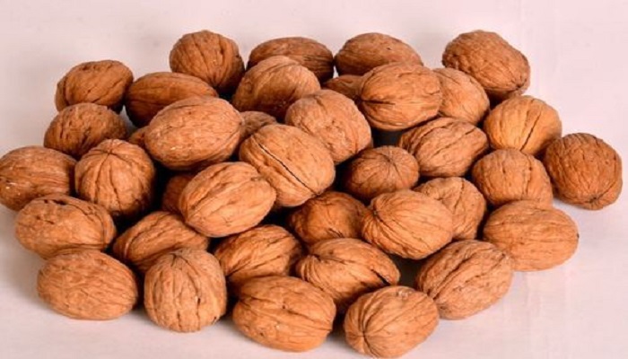 walnut