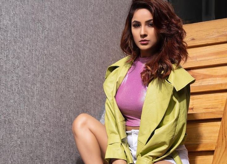 inside picture of shehnaaz gill bold photo shoot