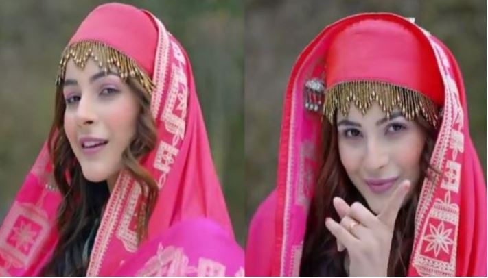 inside image of shehnaaz gill in kashmiri