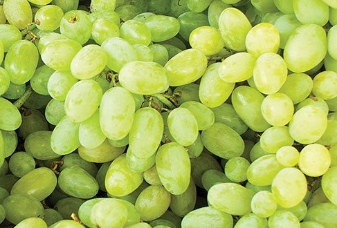 Grapes