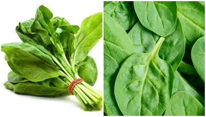 spinach-contamination