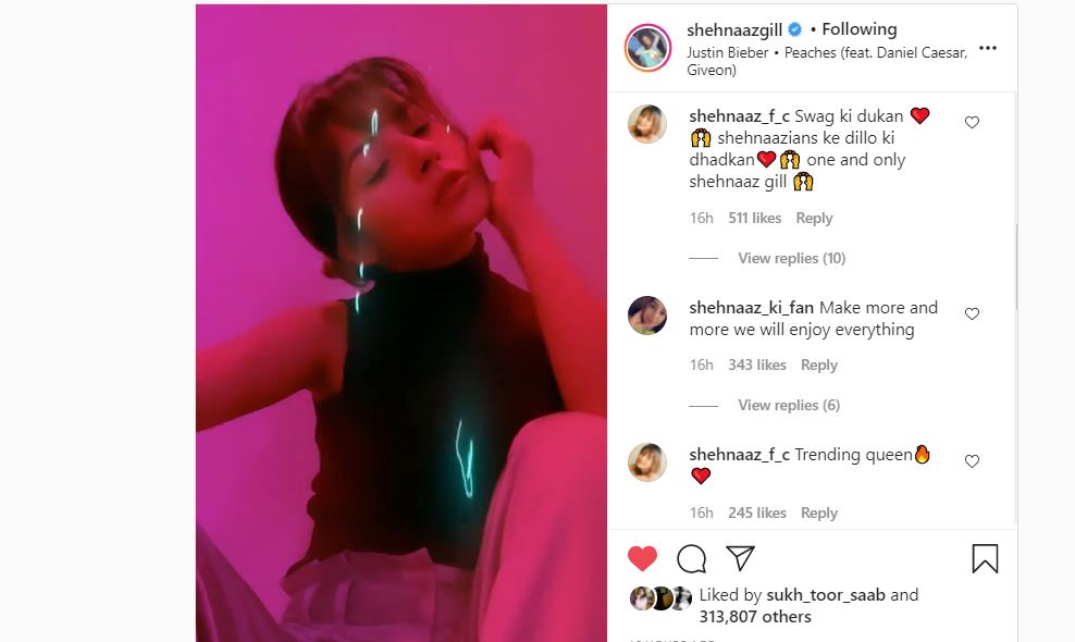 inside image of shehnaaz gill made video on jastin bibber