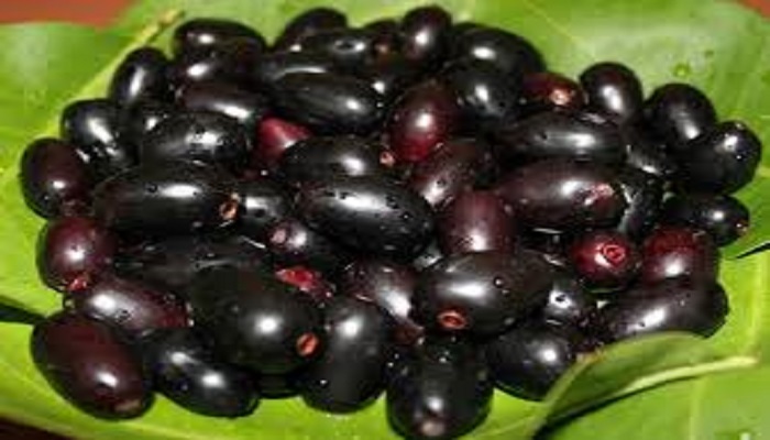 jamun