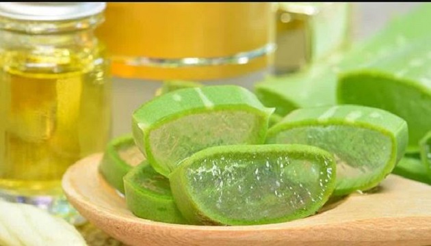 ALOE VERA FOR burning wound