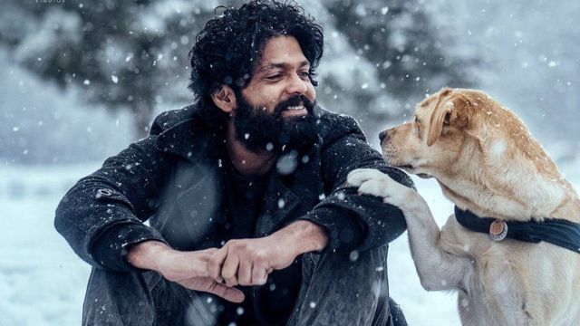 777 Charlie Movie OTT Platform and Release Date: Know where to watch Rakshit Shetty-starrer adventure flick 