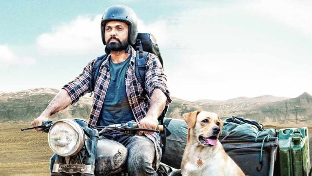 777 Charlie Movie OTT Platform and Release Date: Know where to watch Rakshit Shetty-starrer adventure flick 