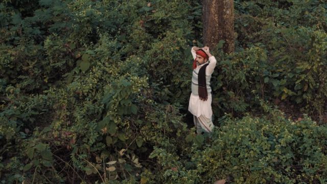 Sherdil The Pilibhit Saga OTT release date: Know when and where to watch Pankaj Tripathi-starrer adventure-drama