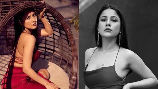 Shehnaaz Gill flags 'red alert' on social media  