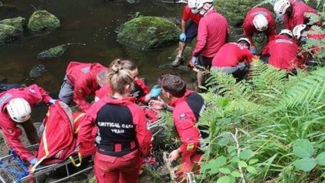 inside image of owner