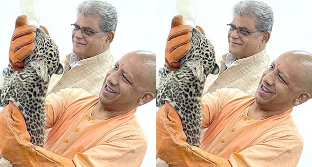 inside image of yogi viral video-min