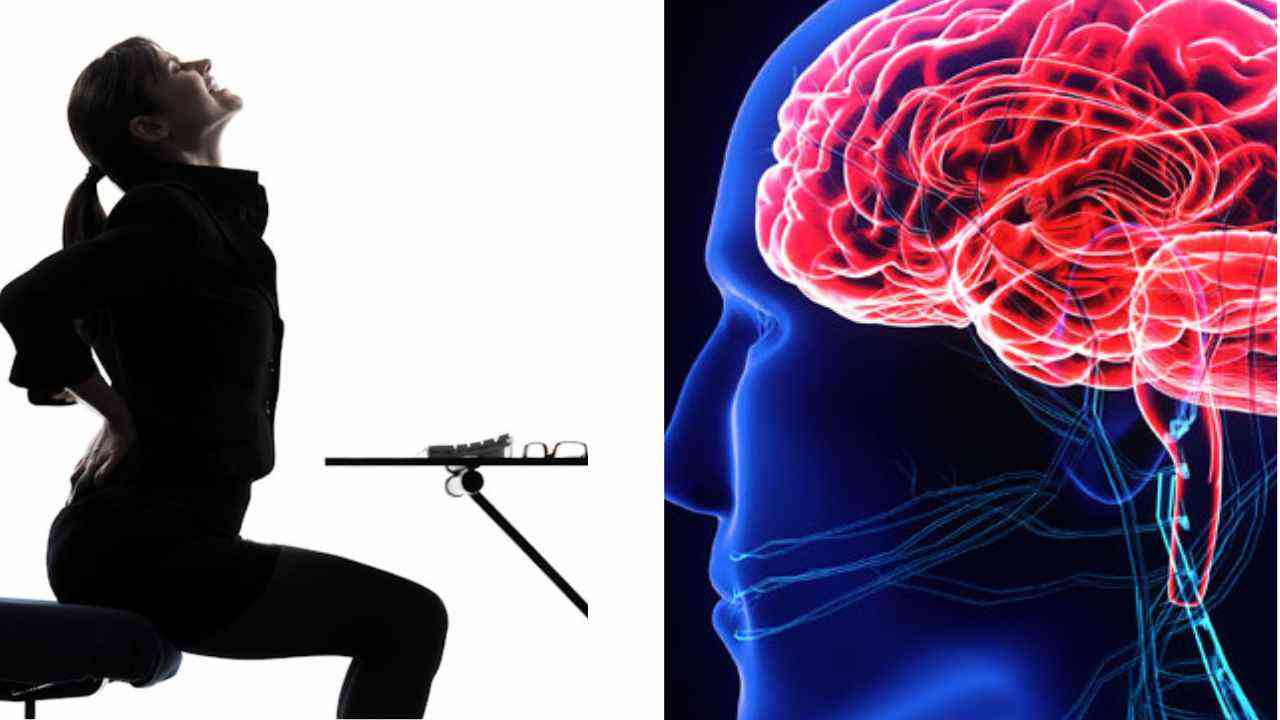 The Hidden Dangers of Prolonged Sitting: Impact on Brain Health and ...